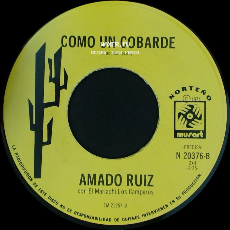 Amado Ruiz Con El Mariachi Los Camperos / Amado Ruiz - Como Un Cobarde / Cuando Estes Con Tus Amigos side A