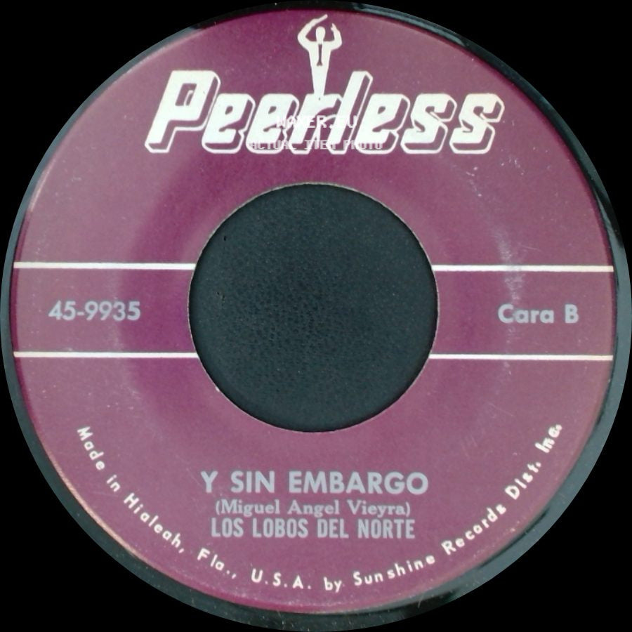 Los Lobos Del Norte - No Fue Tu Culpa / Y Sin Embargo side B