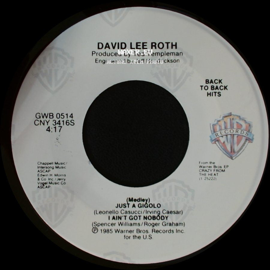 David Lee Roth - California Girls / (Medley) Just A Gigolo / I Ain't Got Nobody side B