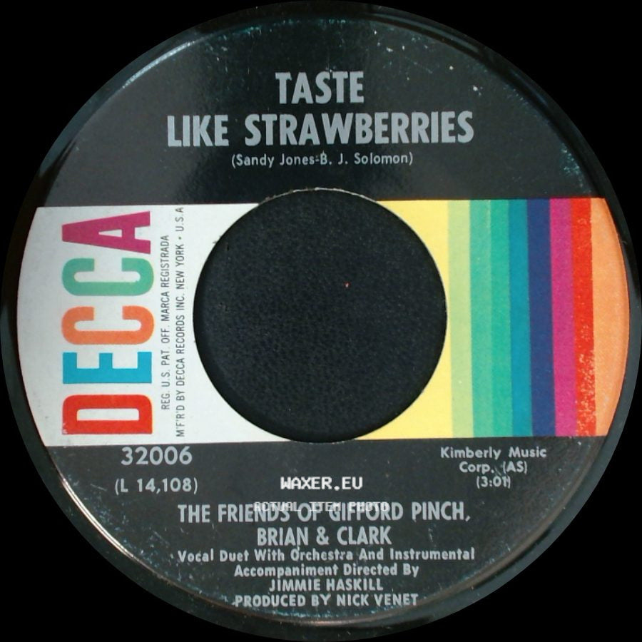 The Friends Of Gifford Pinch, Brian & Clark - Ladybugs, Puddles And Things (I Was Thinking) / Taste Like Strawberries side B