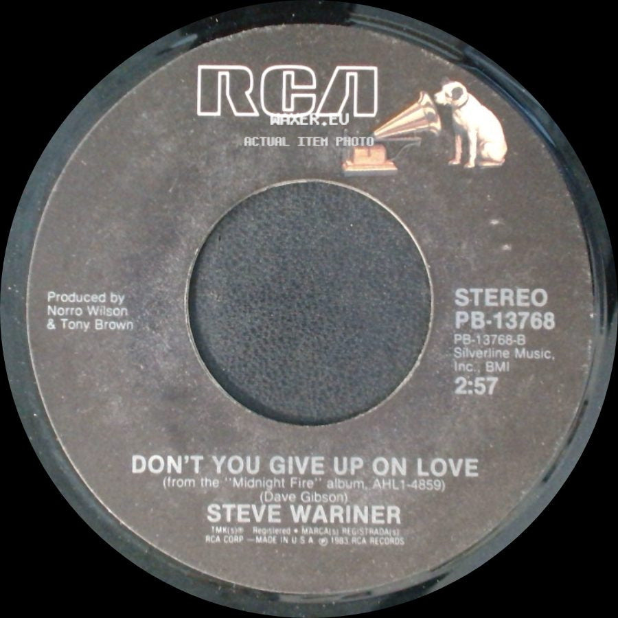 Steve Wariner - Don't You Give Up On Love / Why Goodbye side A