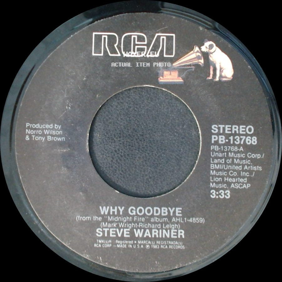 Steve Wariner - Don't You Give Up On Love / Why Goodbye side B