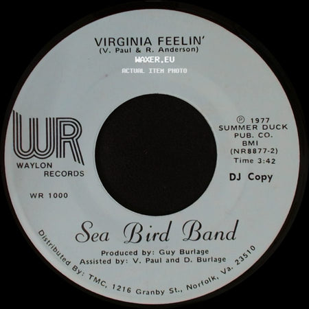 Sea Bird Band - Virginia Feelin' / Don't Disguise side A