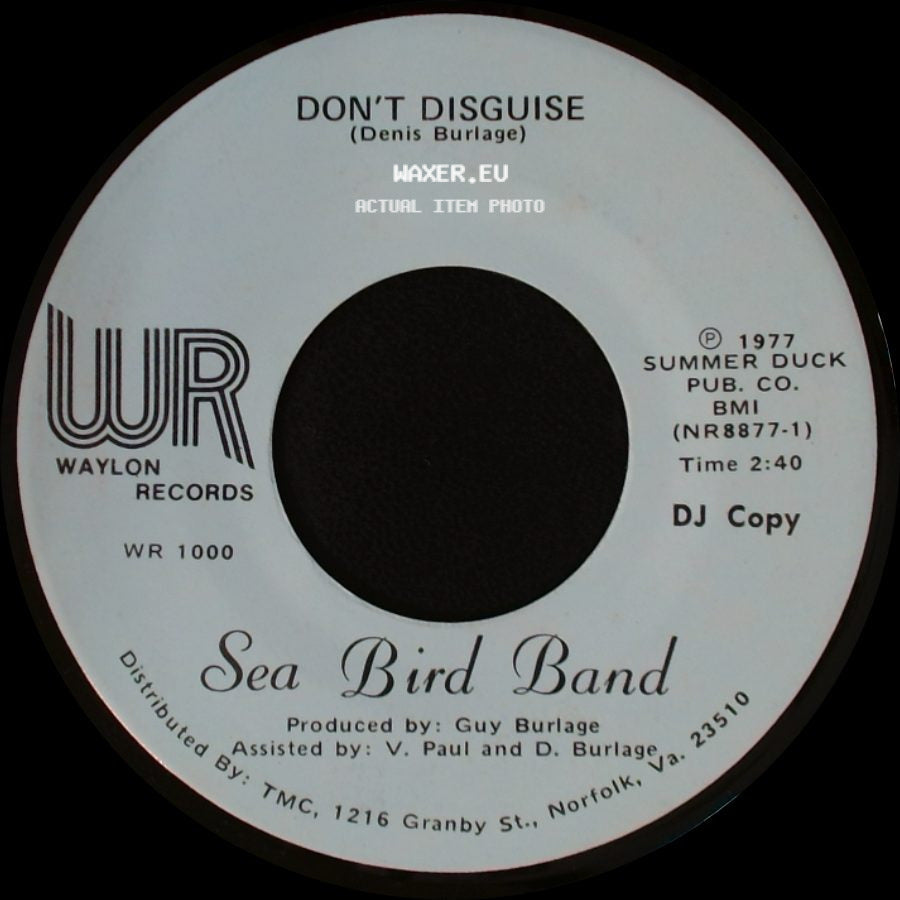 Sea Bird Band - Virginia Feelin' / Don't Disguise side B