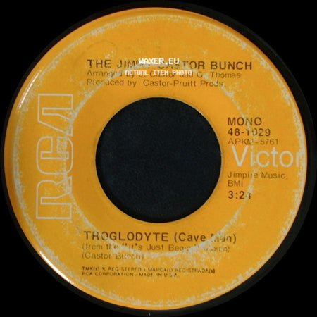 The Jimmy Castor Bunch - Troglodyte (Cave Man) / I Promise To Remember side A
