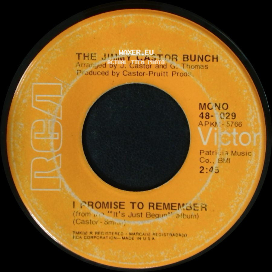 The Jimmy Castor Bunch - Troglodyte (Cave Man) / I Promise To Remember side B