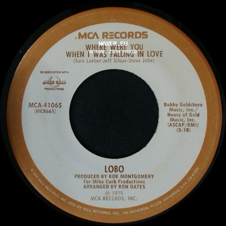 Lobo - Where Were You When I Was Falling In Love / I Don't Wanna Make Love Anymore side A