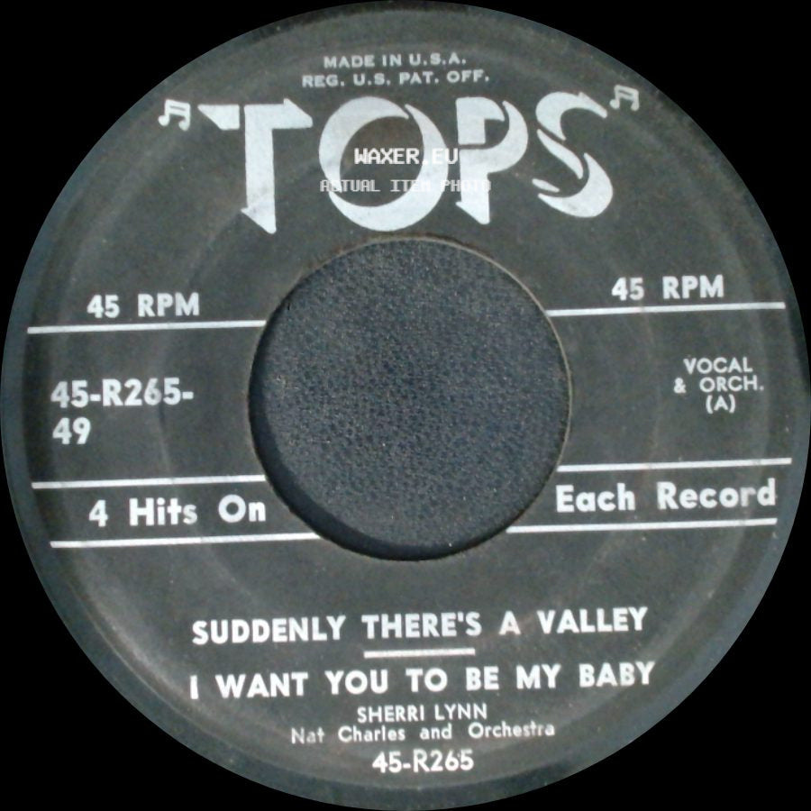 Sherri Lynn / Rusty Thomas / Nat Charles - Suddenly There's A Valley / I Want You To Be My Baby / Maybellene / Autumn Leaves side A
