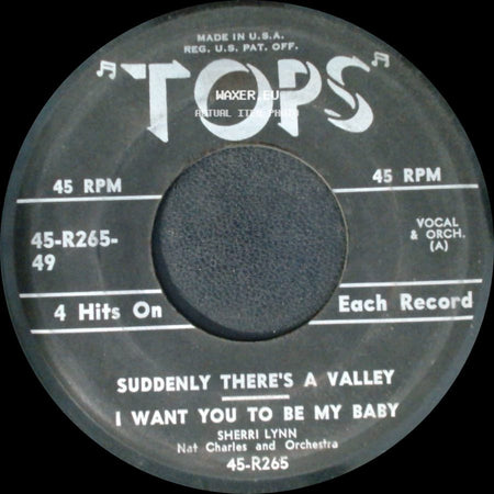 Sherri Lynn / Rusty Thomas / Nat Charles - Suddenly There's A Valley / I Want You To Be My Baby / Maybellene / Autumn Leaves side A