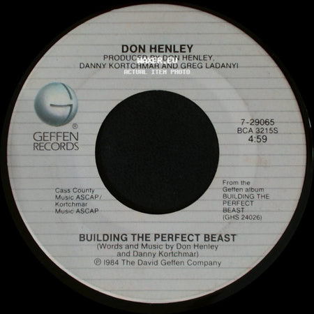 Don Henley - All She Wants To Do Is Dance / Building The Perfect Beast side B