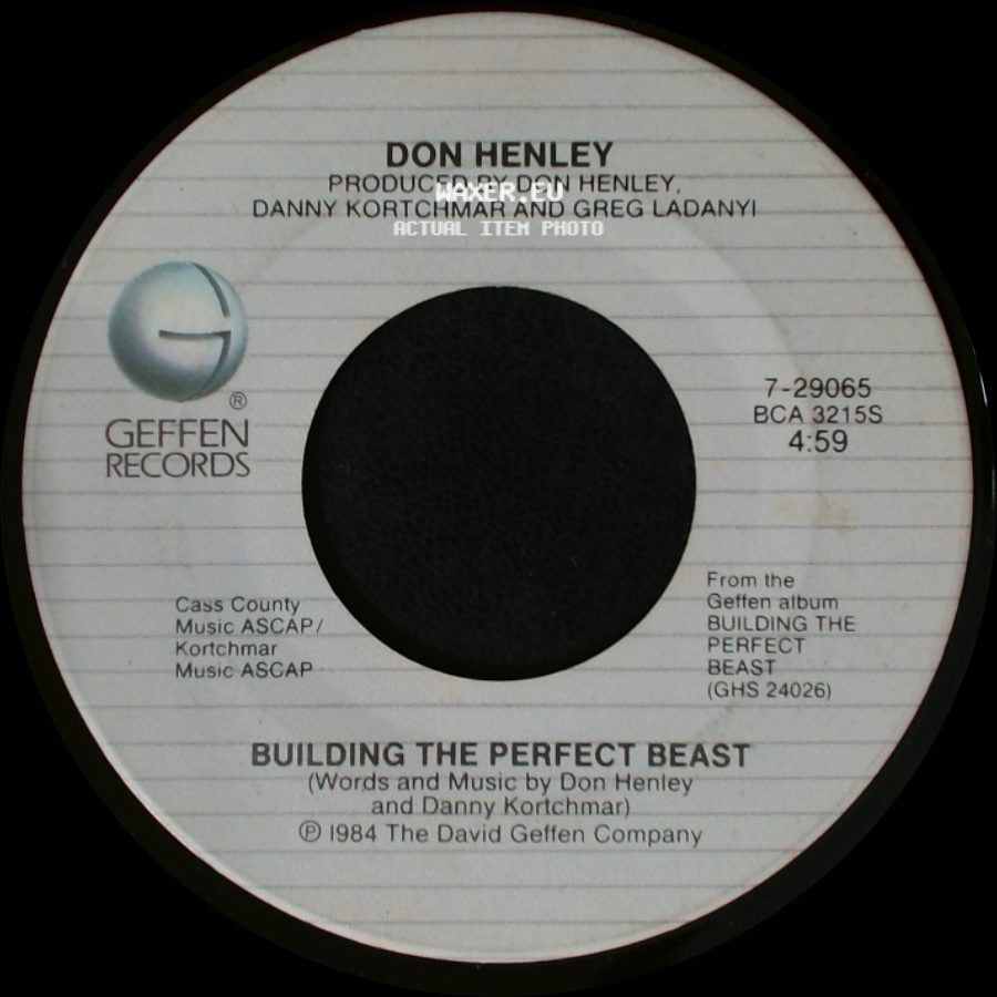 Don Henley - All She Wants To Do Is Dance / Building The Perfect Beast side B