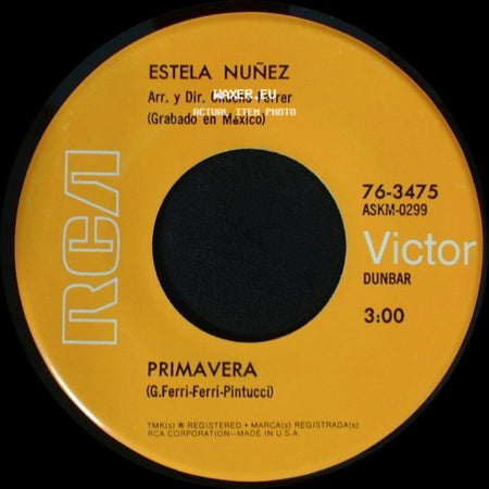 Estela Nuñez - La Paloma / Primavera side B