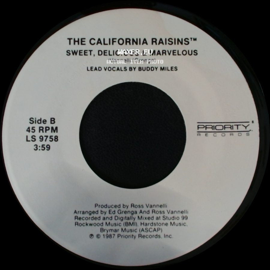 The California Raisins™ - When A Man Loves A Woman / Sweet, Delicious & Marvelous side B