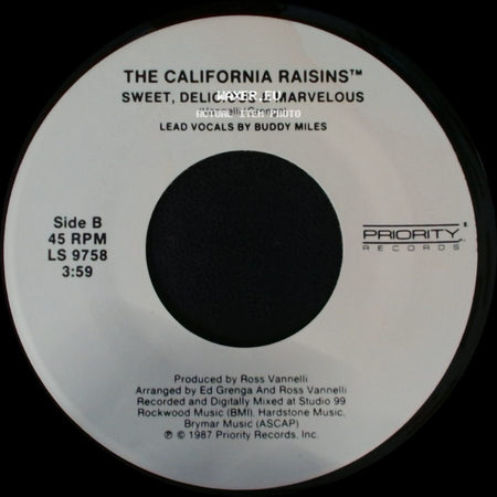 The California Raisins™ - When A Man Loves A Woman / Sweet, Delicious & Marvelous side B