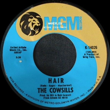 The Cowsills - What Is Happy? / Hair side B
