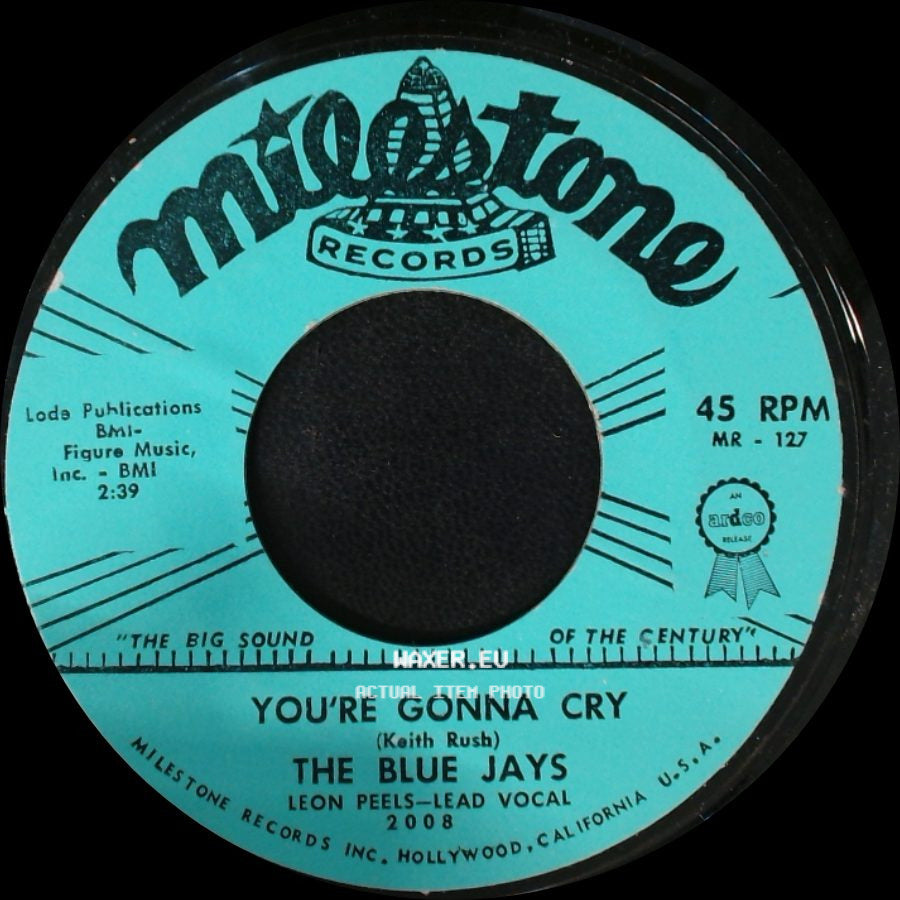 The Blue Jays - Lover's Island / You're Gonna Cry side B