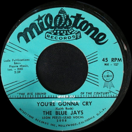 The Blue Jays - Lover's Island / You're Gonna Cry side B