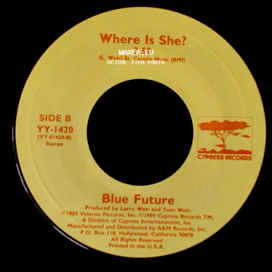 Michael Damian / Blue Future - Rock On / Where Is She? side B