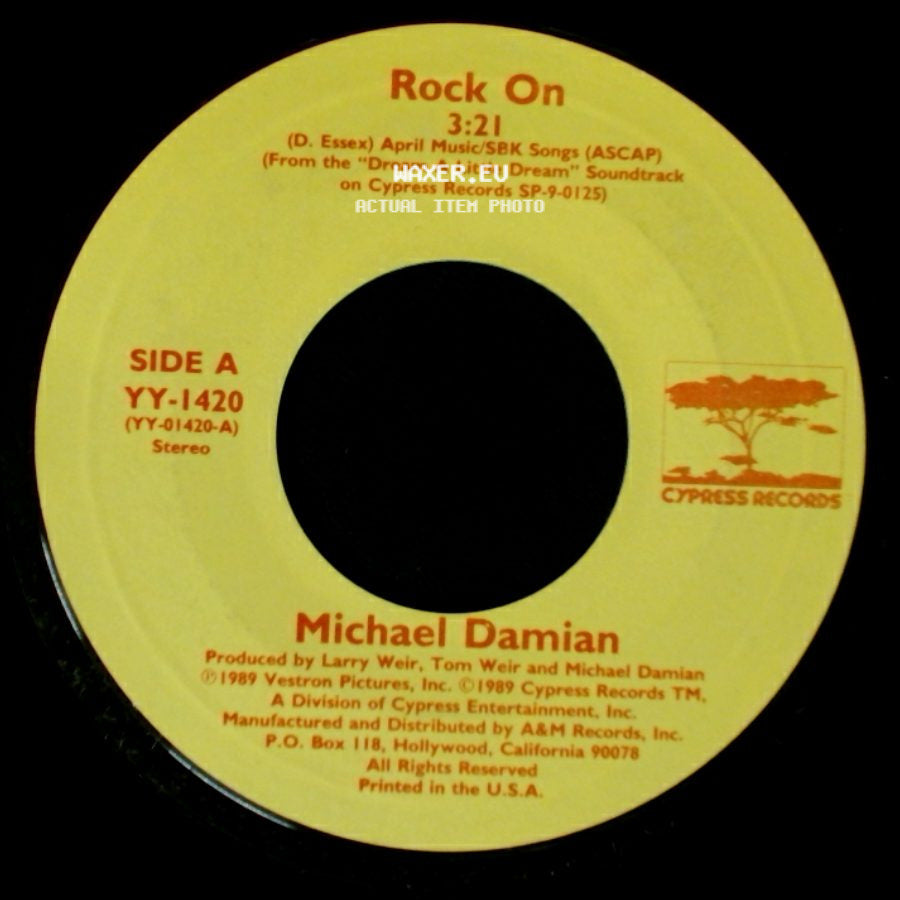 Michael Damian / Blue Future - Rock On / Where Is She? side A