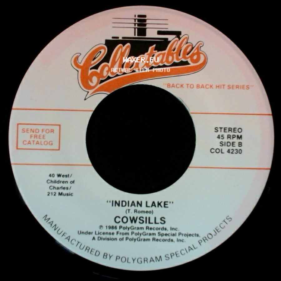 Daddy Dewdrop / Cowsills - Chick-A-Boom / Indian Lake side B