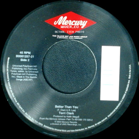 Terri Clark - I Wanna Do It All / Better Than You side B