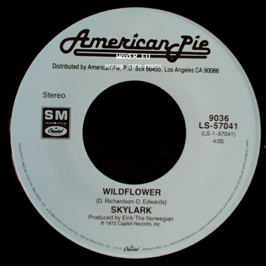 Missing Persons / Skylark - Words / Wildflower side B