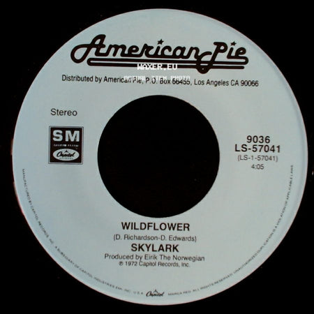 Missing Persons / Skylark - Words / Wildflower side B