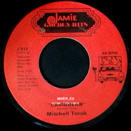 Mitchell Torok / Donnie Owens - Caribbean / "Need You" side A
