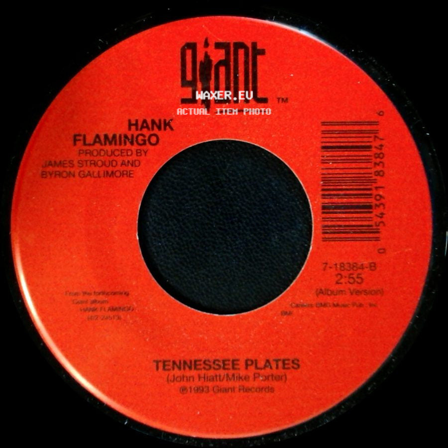 Hank Flamingo - Tennessee Plates / Baby It's You side A