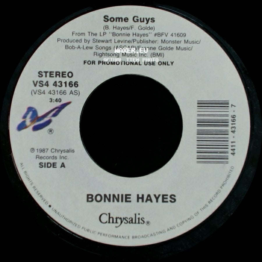 Bonnie Hayes - Some Guys / Some Guys side A