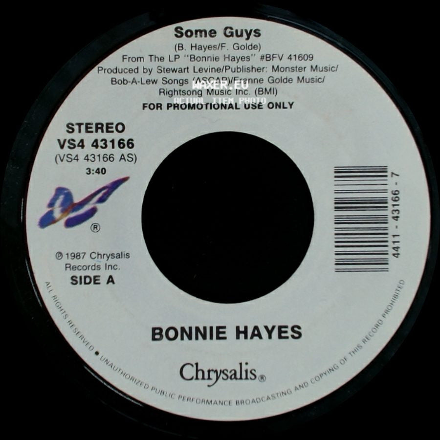 Bonnie Hayes - Some Guys / Some Guys side B