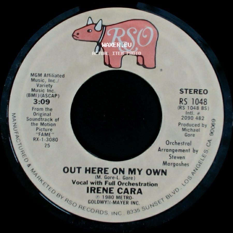 Irene Cara - Out Here On My Own / Out Here On My Own side B