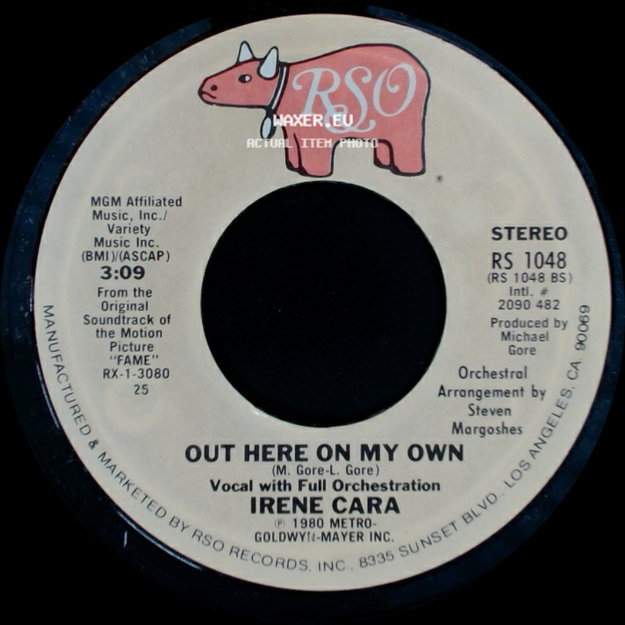 Irene Cara - Out Here On My Own / Out Here On My Own side B