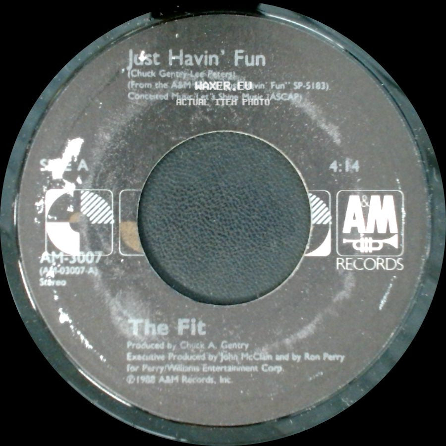 The Fit - Just Havin' Fun / I Wanna Know side A