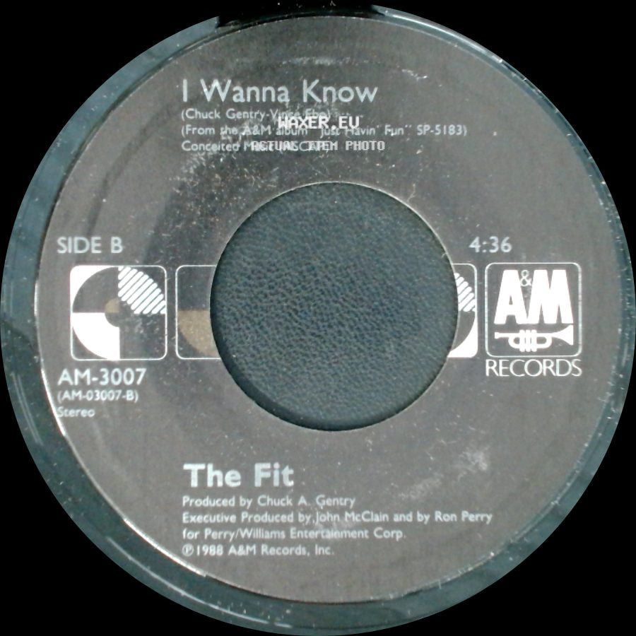 The Fit - Just Havin' Fun / I Wanna Know side B