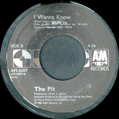 The Fit - Just Havin' Fun / I Wanna Know side B