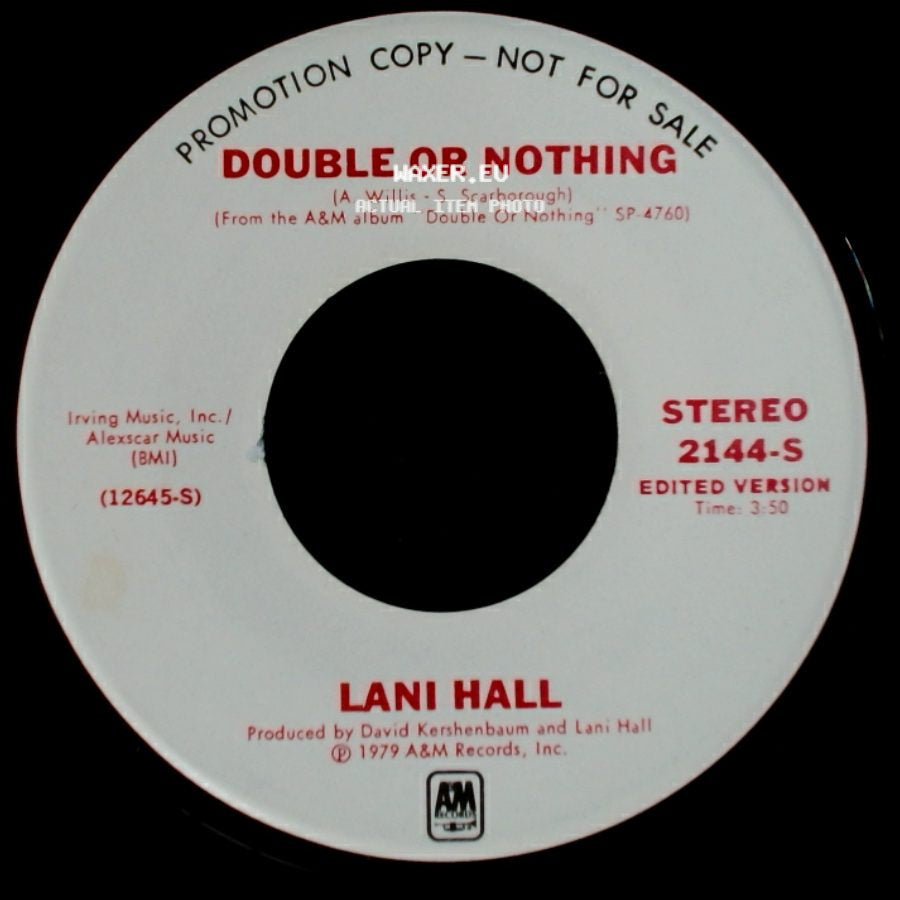 Lani Hall - Double Or Nothing / Double Or Nothing side A