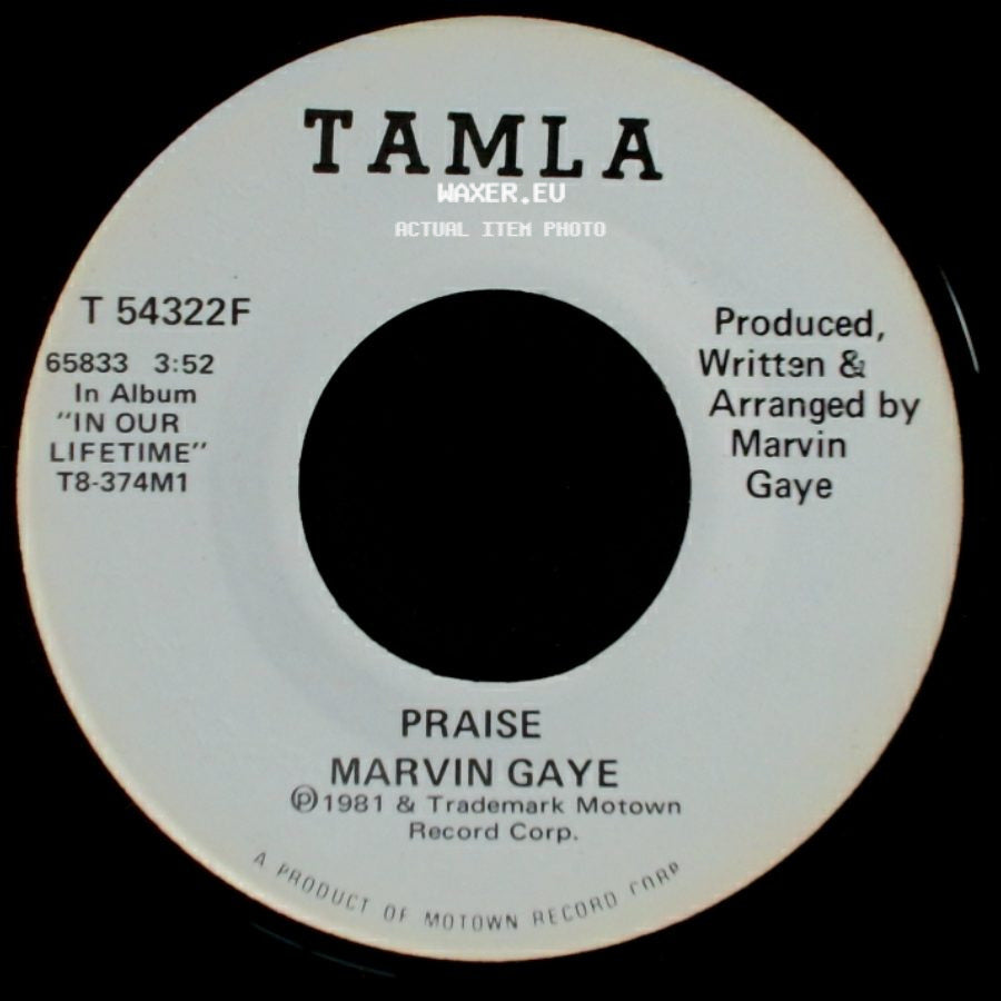 Marvin Gaye - Praise / Praise side A