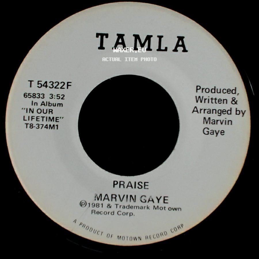 Marvin Gaye - Praise / Praise side B