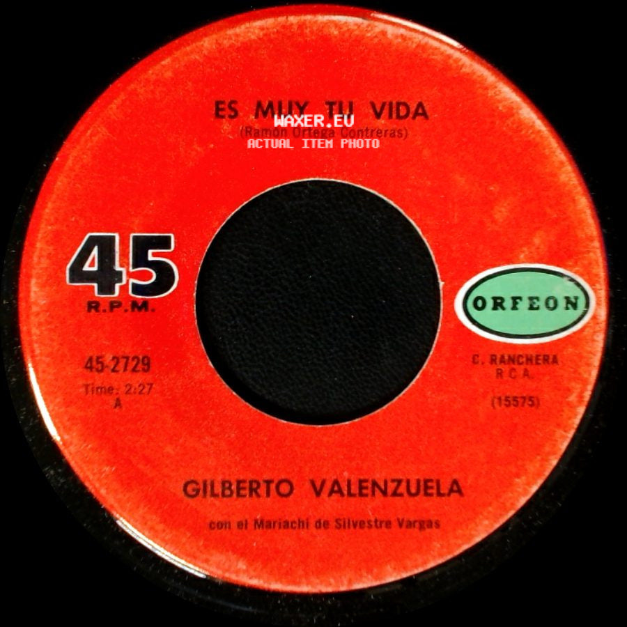 Gilberto Valenzuela - Te Solte La Rienda / Es Muy Tu Vida side B