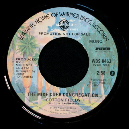 The Mike Curb Congregation - Cotton Fields / Cotton Fields side B