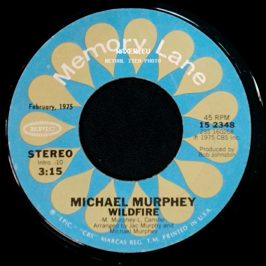 Michael Murphey - A Mansion On The Hill / Wildfire side B