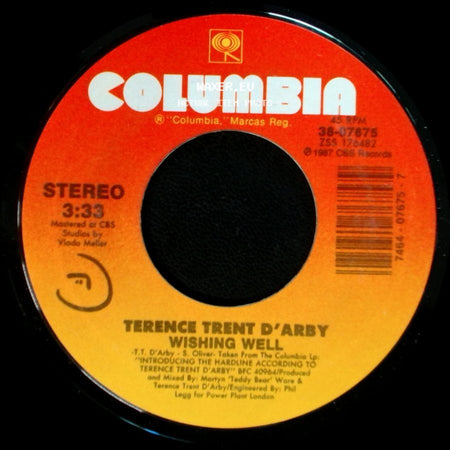 Terence Trent D'arby - Wishing Well / Elevators & Hearts side A
