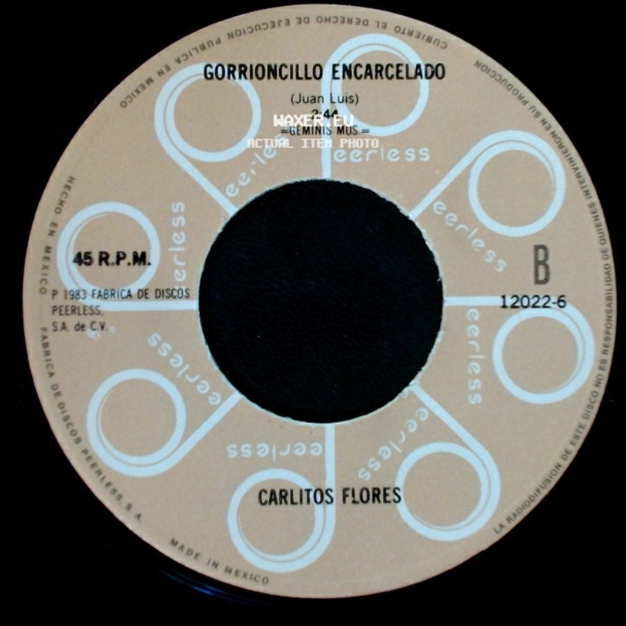 Carlitos Flores - Necio Y Tonto Soñador / Gorrioncillo Encarcelado side B