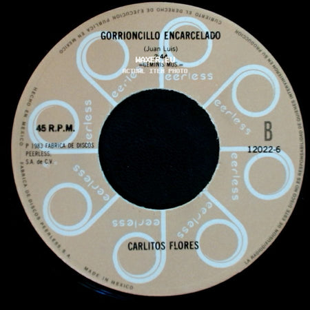 Carlitos Flores - Necio Y Tonto Soñador / Gorrioncillo Encarcelado side B