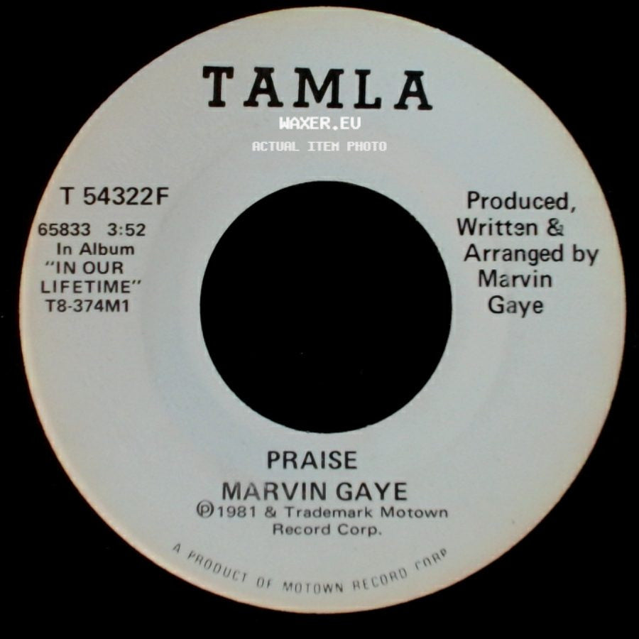 Marvin Gaye - Praise / Praise side B
