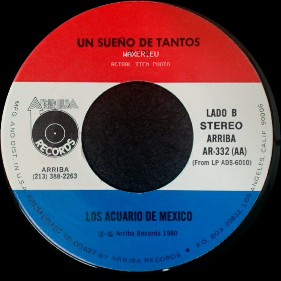 Los Acuario De Mexico - Lo Que Me Preocupa De Ti / Un Sueño De Tantos side B