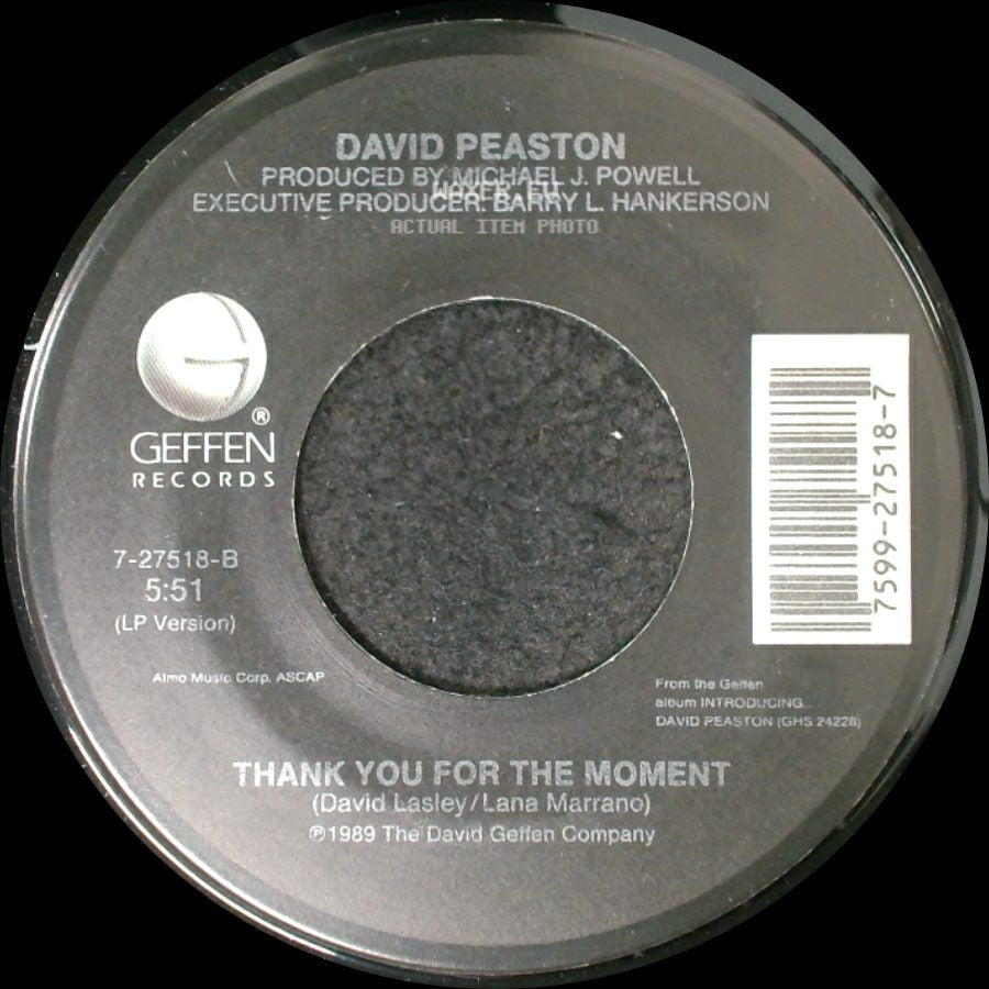 David Peaston - Two Wrongs (Don't Make It Right) / Thank You For The Moment side B