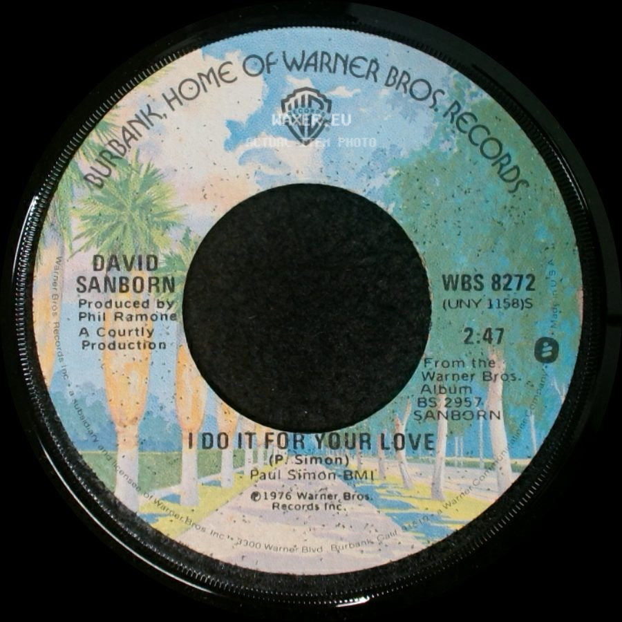 David Sanborn - Smile / I Do It For Your Love side B