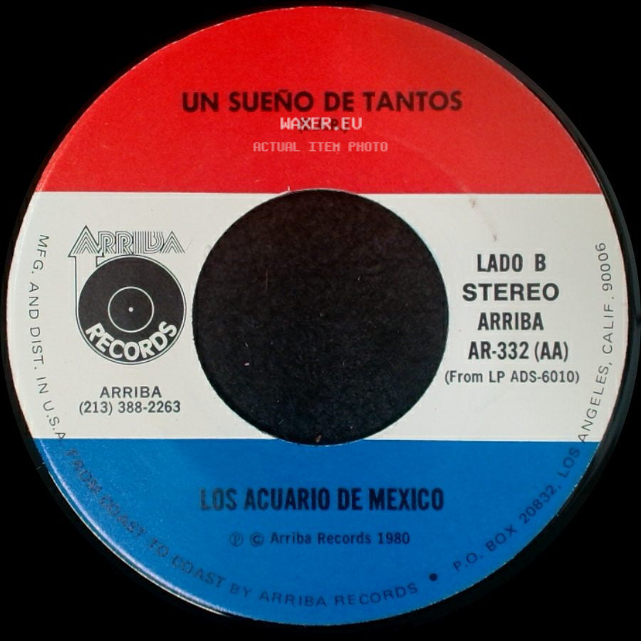 Los Acuario De Mexico - Lo Que Me Preocupa De Ti / Un Sueño De Tantos side B